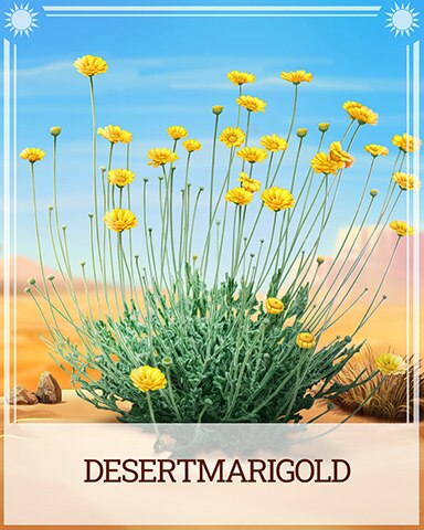 Desert Marigold Desert Wonders Badge - Tri-Peaks Solitaire HD Desert Marigold Desert Wonders Badge - Tri-Peaks Solitaire HD