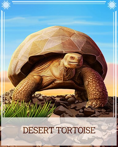 Desert Tortoise Desert Wonders Badge - Mahjong Sanctuary Desert Tortoise Desert Wonders Badge - Mahjong Sanctuary