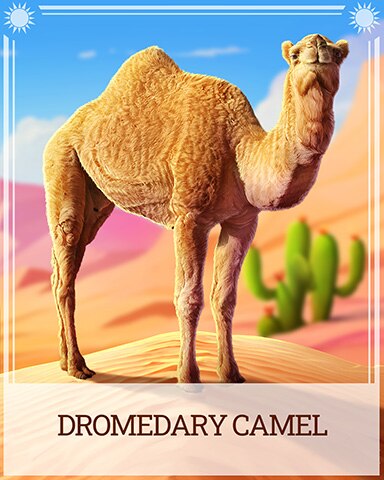 Dromedary Camel Desert Wonders Badge - Payday Freecell HD Dromedary Camel Desert Wonders Badge - Payday Freecell HD