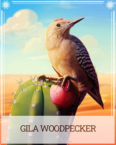 Gila Woodpecker Desert Wonders Badge - Sweet Tooth Town Gila Woodpecker Desert Wonders Badge - Sweet Tooth Town