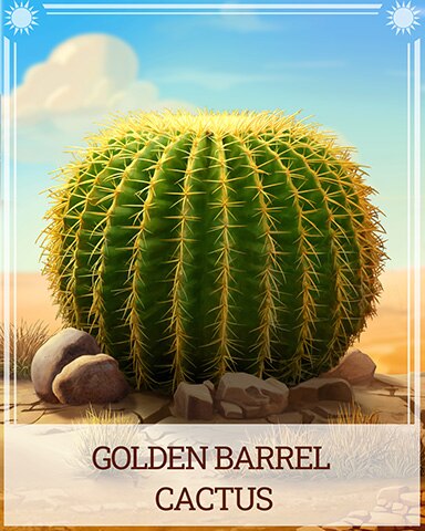 Golden Barrel Cactus Desert Wonders Badge - Word Whomp HD Golden Barrel Cactus Desert Wonders Badge - Word Whomp HD