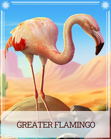 Greater Flamingo Desert Wonders Badge - Aces Up! HD Greater Flamingo Desert Wonders Badge - Aces Up! HD