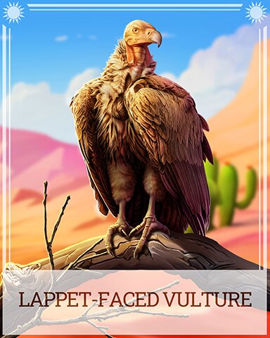 Lappet-Faced Vulture Desert Wonders Badge - Thousand Island Solitaire HD