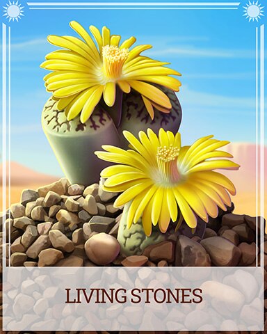 Living Stones Desert Wonders Badge - Canasta HD Living Stones Desert Wonders Badge - Canasta HD
