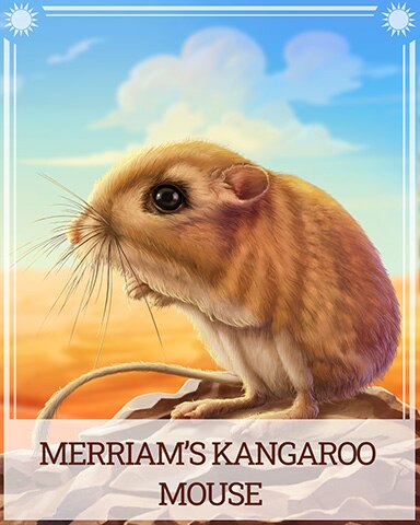 Merriam's Kangaroo Mouse Desert Wonders Badge - Thousand Island Solitaire HD Merriam's Kangaroo Mouse Desert Wonders Badge - Thousand Island Solitaire HD