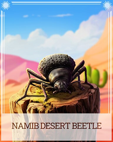 Namib Desert Beetle Desert Wonders Badge - Bejeweled Stars Namib Desert Beetle Desert Wonders Badge - Bejeweled Stars