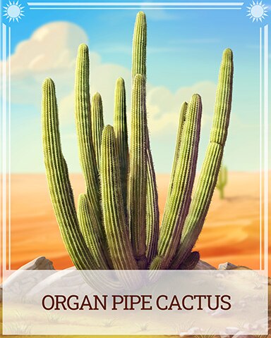 Organ Pipe Cactus Desert Wonders Badge - Mahjong Sanctuary Organ Pipe Cactus Desert Wonders Badge - Mahjong Sanctuary