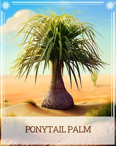 Ponytail Palm Desert Wonders Badge - Rainy Day Spider Solitaire HD