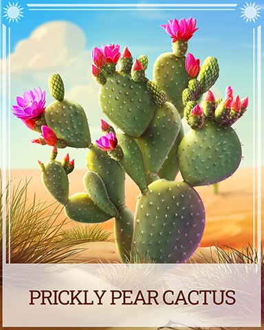 Prickly Pear Cactus Desert Wonders Badge - Matching Moments Prickly Pear Cactus Desert Wonders Badge - Matching Moments