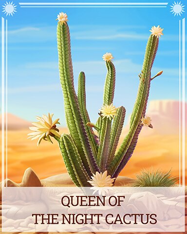 Queen Of The Night Cactus Desert Wonders Badge - Rainy Day Spider Solitaire HD Queen Of The Night Cactus Desert Wonders Badge - Rainy Day Spider Solitaire HD