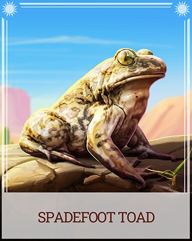 Spadefoot Toad Desert Wonders Badge - First Class Solitaire HD Spadefoot Toad Desert Wonders Badge - First Class Solitaire HD