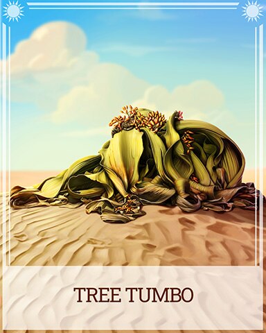 Tree Tumbo Desert Wonders Badge - Farm Merge Valley Tree Tumbo Desert Wonders Badge - Farm Merge Valley