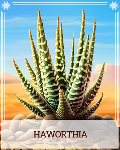 Haworthia Desert Wonders Badge - Mahjong Safari HD Haworthia Desert Wonders Badge - Mahjong Safari HD