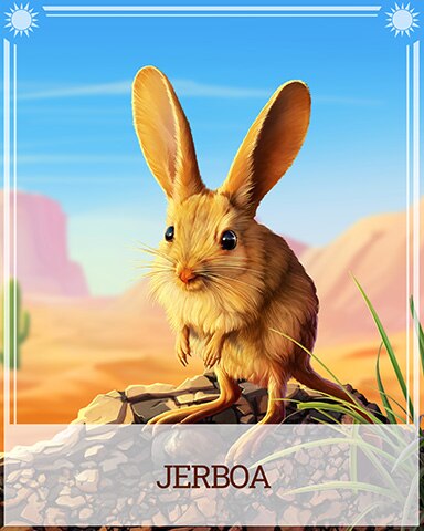 Jerboa Desert Wonders Badge - Word Whomp HD Jerboa Desert Wonders Badge - Word Whomp HD
