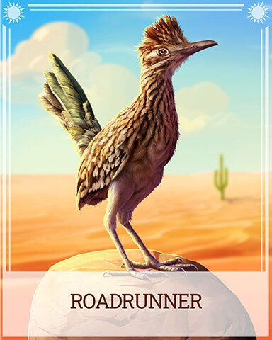 Roadrunner Desert Wonders Badge - Aces Up! HD Roadrunner Desert Wonders Badge - Aces Up! HD