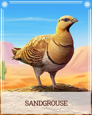 Sandgrouse Desert Wonders Badge - MONOPOLY Sudoku Sandgrouse Desert Wonders Badge - MONOPOLY Sudoku