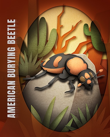 American Burying Beetle Endangered Animals Badge - Canasta HD American Burying Beetle Endangered Animals Badge - Canasta HD