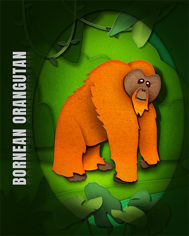 Bornean Orangutan Endangered Animals Badge - Garden Blast