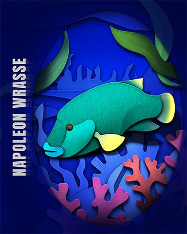 Napoleon Wrasse Endangered Animals Badge - Wheel Of Fortune: Pogo™ Edition Napoleon Wrasse Endangered Animals Badge - Wheel Of Fortune: Pogo™ Edition