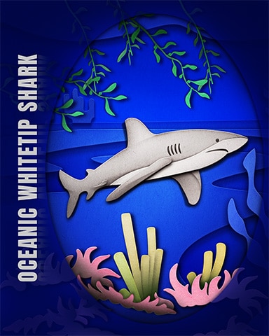 Oceanic Whitetip Shark Endangered Animals Badge - Aces Up! HD Oceanic Whitetip Shark Endangered Animals Badge - Aces Up! HD