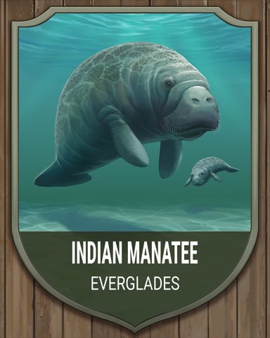 Everglades Indian Manatee National Parks Badge - Mahjong Safari HD Everglades Indian Manatee National Parks Badge - Mahjong Safari HD