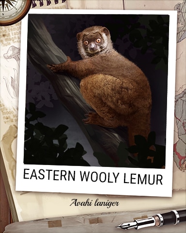 Eastern Wooly Lemur Nocturnal Animal Badge - Anagrams Eastern Wooly Lemur Nocturnal Animal Badge - Anagrams
