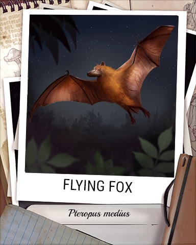 Flying Fox Nocturnal Animal Badge - Snowbird Solitaire Flying Fox Nocturnal Animal Badge - Snowbird Solitaire