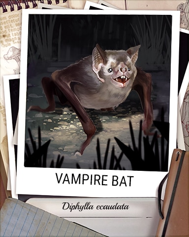 Vampire Bat Nocturnal Animal Badge - Phlinx II Vampire Bat Nocturnal Animal Badge - Phlinx II