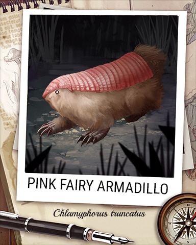 Pink Fairy Armadillo Nocturnal Animal Badge - Tri-Peaks Solitaire HD Pink Fairy Armadillo Nocturnal Animal Badge - Tri-Peaks Solitaire HD