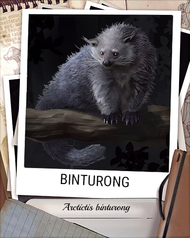 Binturong Nocturnal Animal Badge - Peggle Blast HD Binturong Nocturnal Animal Badge - Peggle Blast HD