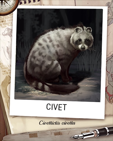 Civet Nocturnal Animal Badge - Peggle Blast HD Civet Nocturnal Animal Badge - Peggle Blast HD