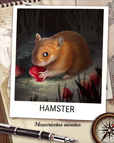 Hamster Nocturnal Animal Badge - Cookie Connect Hamster Nocturnal Animal Badge - Cookie Connect