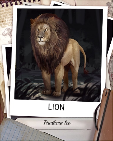 Lion Nocturnal Animal Badge - Phlinx II Lion Nocturnal Animal Badge - Phlinx II