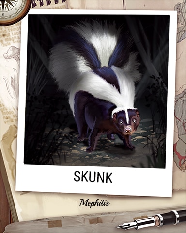 Skunk Nocturnal Animal Badge - Trizzle Skunk Nocturnal Animal Badge - Trizzle