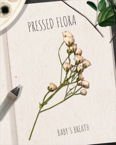 Baby's Breath Pressed Flora Badge - Dice City Roller HD Baby's Breath Pressed Flora Badge - Dice City Roller HD