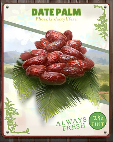 Date Palm Produce Badge - Mahjong Sanctuary Date Palm Produce Badge - Mahjong Sanctuary