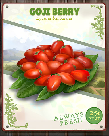Goji Berry Produce Badge - Phlinx II Goji Berry Produce Badge - Phlinx II