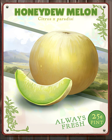 Honeydew Melon Produce Badge - StoryQuest Honeydew Melon Produce Badge - StoryQuest
