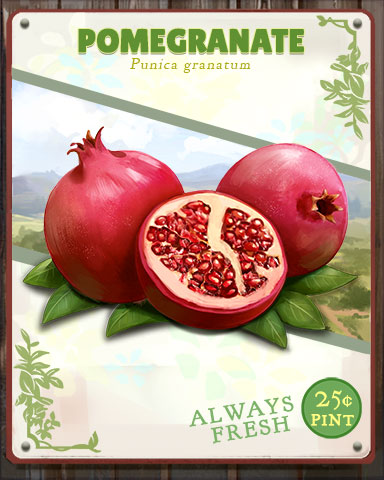 Pomegranate Produce Badge - Jewel Academy Pomegranate Produce Badge - Jewel Academy