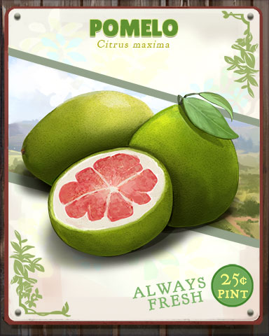 Pomelo Produce Badge - Claire Hart: Secret In The Shadows Pomelo Produce Badge - Claire Hart: Secret In The Shadows