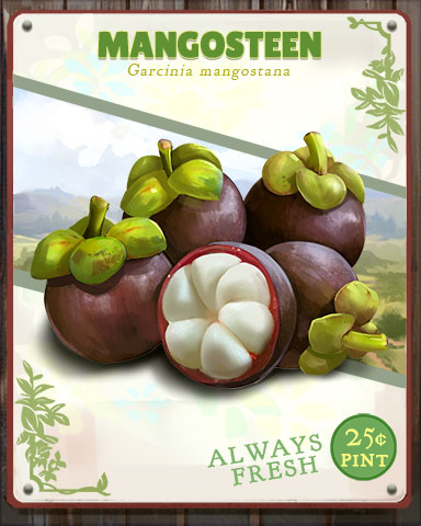 Mangosteen Produce Badge - Jungle Gin HD Mangosteen Produce Badge - Jungle Gin HD