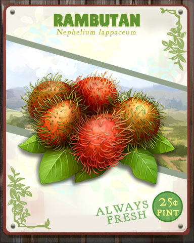 Rambutan Produce Badge - Quinn's Aquarium Rambutan Produce Badge - Quinn's Aquarium