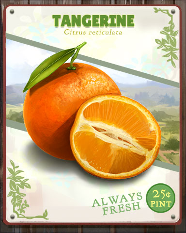 Tangerine Produce Badge - Solitaire Blitz Tangerine Produce Badge - Solitaire Blitz