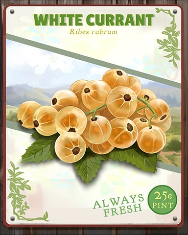 White Currant Produce Badge - Snowbird Solitaire White Currant Produce Badge - Snowbird Solitaire
