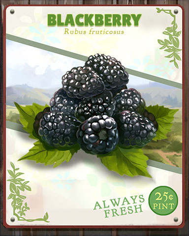 Blackberry Produce Badge - Trizzle Blackberry Produce Badge - Trizzle