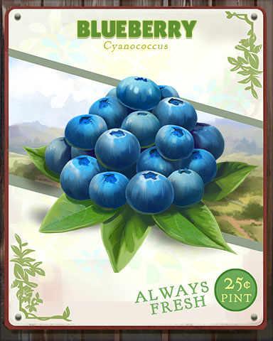 Blueberry Produce Badge - World Class Solitaire HD Blueberry Produce Badge - World Class Solitaire HD