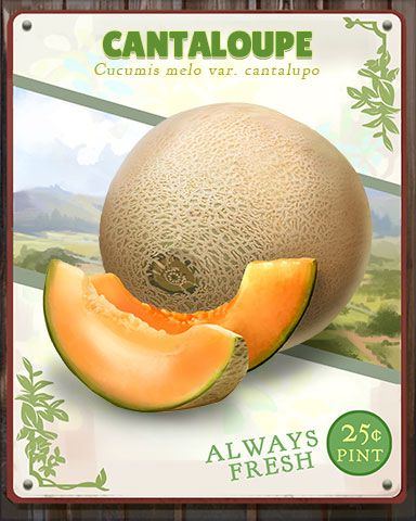 Cantaloupe Produce Badge - StoryQuest Cantaloupe Produce Badge - StoryQuest