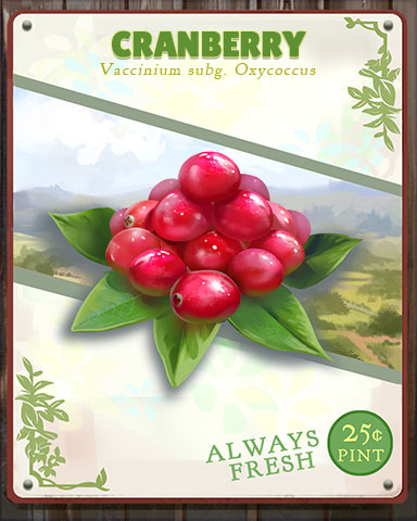 Cranberry Produce Badge - Jet Set Solitaire Cranberry Produce Badge - Jet Set Solitaire