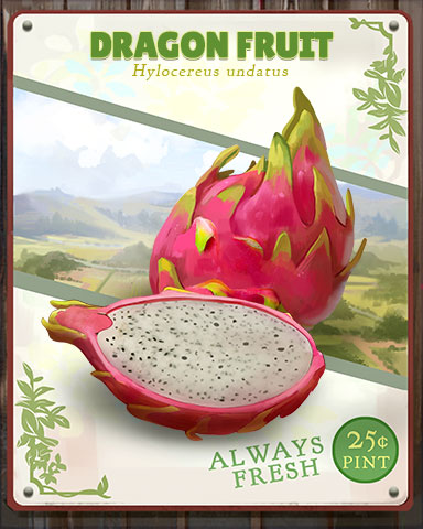 Dragonfruit Produce Badge - Sweet Tooth Town Dragonfruit Produce Badge - Sweet Tooth Town