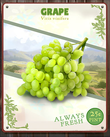 Grape Produce Badge - Pogo Daily Sudoku Grape Produce Badge - Pogo Daily Sudoku